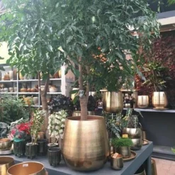 Gina Da Bloempot Karakter Goud - XL -Tuinwereld Verkoop 1200x1200 3134