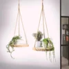 Merkloos Plantenhanger Boomstam Schijf | 30-35cm | Handgemaakt | Planten-houder / Hang-plant | Planten Accessoires | Decoratie Houten Hang Plank |