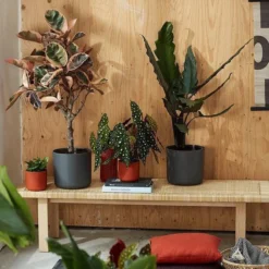 Elho B.for Soft Rond 30 - Bloempot Voor Binnen - Ø 29.5 X H 27.6 Cm - Antraciet 15 Elho B.for Soft Rond 30 - Bloempot Voor Binnen - Ø 29.5 X H 27.6 Cm - Antraciet -Tuinwereld Verkoop 1200x1200 3137