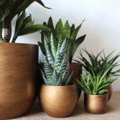 Capi Europe - Vaas Bol Retro - 30x25 - Goud - Bloempot Voor Binnen - BRTG104 14 Capi Europe - Vaas Bol Retro - 30x25 - Goud - Bloempot Voor Binnen - BRTG104 -Tuinwereld Verkoop 1200x1200 3138