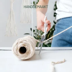 Gadgy Plantenhanger Macramé 3 Stuks - Luxe Gevlochten Touw Katoen - Plantenpot Ophangen - Hangpot -Tuinwereld Verkoop 1200x1200 3146