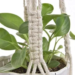 4 Stuks Plantenhangers - Boho Handgeweven Katoen Hangpot Voor Binnen/Buiten - Bloempot Met Kralen - Macramé Touw/Koord Hangplant Houder - Bohemian Wandhanger Decoratie - Verticale Tuin Plant Hanger Bloempothouder Planthanger Wit -Tuinwereld Verkoop 1200x1200 3154