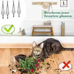 9 Stuks Zwart Macrame Plantenhangers - Boho Handgeweven Katoen Hangpot Voor Binnen/Buiten - Hangende Bloempot Met Kralen - Macramé Touw/Koord Hangplant Houder - Bohemian Wandhanger Decoratie - Plant Hanger - Verticale Tuin Bloempothouder Planthanger -Tuinwereld Verkoop 1200x1200 3158