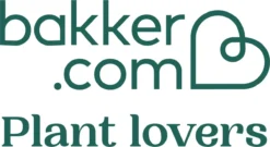 Pokon Stekpoeder - 25gr - Stimuleert Wortelvorming -Tuinwereld Verkoop 1200x657 4