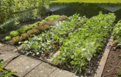 GARDENA Micro Drip System Bloembed En Moestuin Startset Druppelsysteem - 25 Meter -Tuinwereld Verkoop 1200x770 2