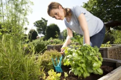 GARDENA Combisystem Tuinhak - Werkbreedte 6,5cm - 25 Jaar Garantie -Tuinwereld Verkoop 1200x799 164