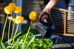 Xala - Gieter Doppio Groove 2L Zwart -Tuinwereld Verkoop 1200x799 219