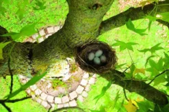 Gardigo Kattenafweergordel -Tuinwereld Verkoop 1200x799 226