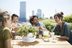 Elho Greenville Schaal 33 - Bloempot Voor Buiten - Ø 32.5 X H 19.4 Cm - Groen/Blad Groen -Tuinwereld Verkoop 1200x799 228