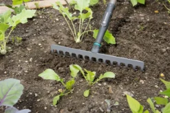 Gardena NatureLine Hark | 36 Cm | FSC 100% - 17106-20 -Tuinwereld Verkoop 1200x800 301