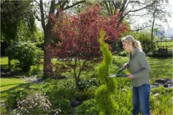 GARDENA PrecisionCut Buxusschaar - Meslengte 18 Cm - Vormsnoeien 17 GARDENA PrecisionCut Buxusschaar - Meslengte 18 Cm - Vormsnoeien -Tuinwereld Verkoop 1200x800 315