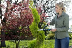 GARDENA PrecisionCut Buxusschaar - Meslengte 18 Cm - Vormsnoeien 18 GARDENA PrecisionCut Buxusschaar - Meslengte 18 Cm - Vormsnoeien -Tuinwereld Verkoop 1200x800 316