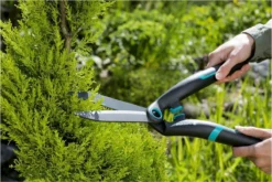 GARDENA PrecisionCut Buxusschaar - Meslengte 18 Cm - Vormsnoeien 19 GARDENA PrecisionCut Buxusschaar - Meslengte 18 Cm - Vormsnoeien -Tuinwereld Verkoop 1200x800 317