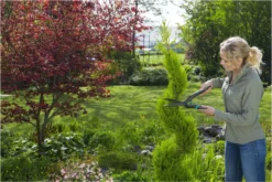 GARDENA PrecisionCut Buxusschaar - Meslengte 18 Cm - Vormsnoeien 21 GARDENA PrecisionCut Buxusschaar - Meslengte 18 Cm - Vormsnoeien -Tuinwereld Verkoop 1200x800 319