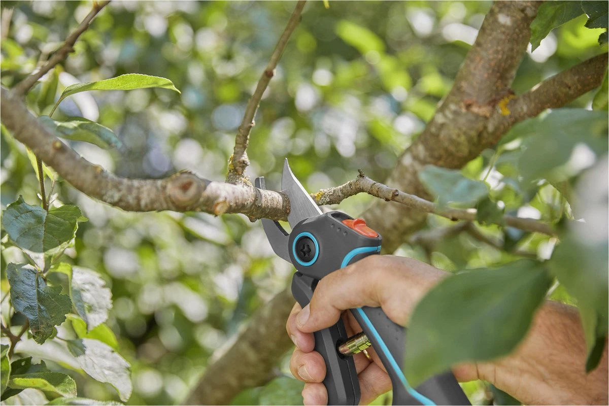 GARDENA AssistCut Snoeischaar- Ø 25mm 7 GARDENA AssistCut Snoeischaar- Ø 25mm - Afbeelding 7