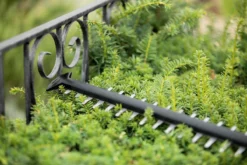 Bosch UniversalHedgeCut 18-55 Heggenschaar - Zonder 18V Accu En Oplader -Tuinwereld Verkoop 1200x800 371