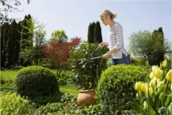 GARDENA - EasyCut - Heggenschaar - Extra Licht Van Gewicht 19 GARDENA - EasyCut - Heggenschaar - Extra Licht Van Gewicht -Tuinwereld Verkoop 1200x800 380