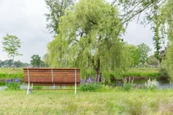 MaximaVida Tuinbank Budapest Oil 170 Cm - Uit Exclusief Mahoniehout -Tuinwereld Verkoop 1200x800 39