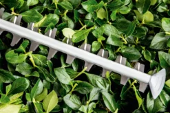 Bosch UniversalHedgeCut 60 Heggenschaar - Op Snoer - Lengte 60 Cm -Tuinwereld Verkoop 1200x800 406