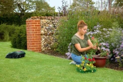 Bosch Indego S+ 500 Robotmaaier - Voor Gazons Tot 500 M2 - Incl. Laadstation En Accessoires - Connected -Tuinwereld Verkoop 1200x800 433