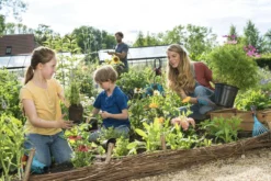 GARDENA Combisystem Bladharkje - Werkbreedte 12 Cm - 25 Jaar Garantie -Tuinwereld Verkoop 1200x800 484