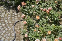 GARDENA Kraanverbindingsstuk Binnenshuis -Tuinwereld Verkoop 1200x800 527