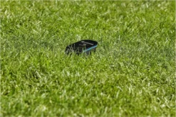 GARDENA Smart Sensor 19040-20 Bodemvochtigheidsensor 18 GARDENA Smart Sensor 19040-20 Bodemvochtigheidsensor -Tuinwereld Verkoop 1200x800 531