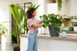 Elho Brussels Gieter 1,8l - Gieter Voor Binnenkweken En Oogsten - Ø 33.0 X H 17.0 Cm - Groen/Mint -Tuinwereld Verkoop 1200x800 609