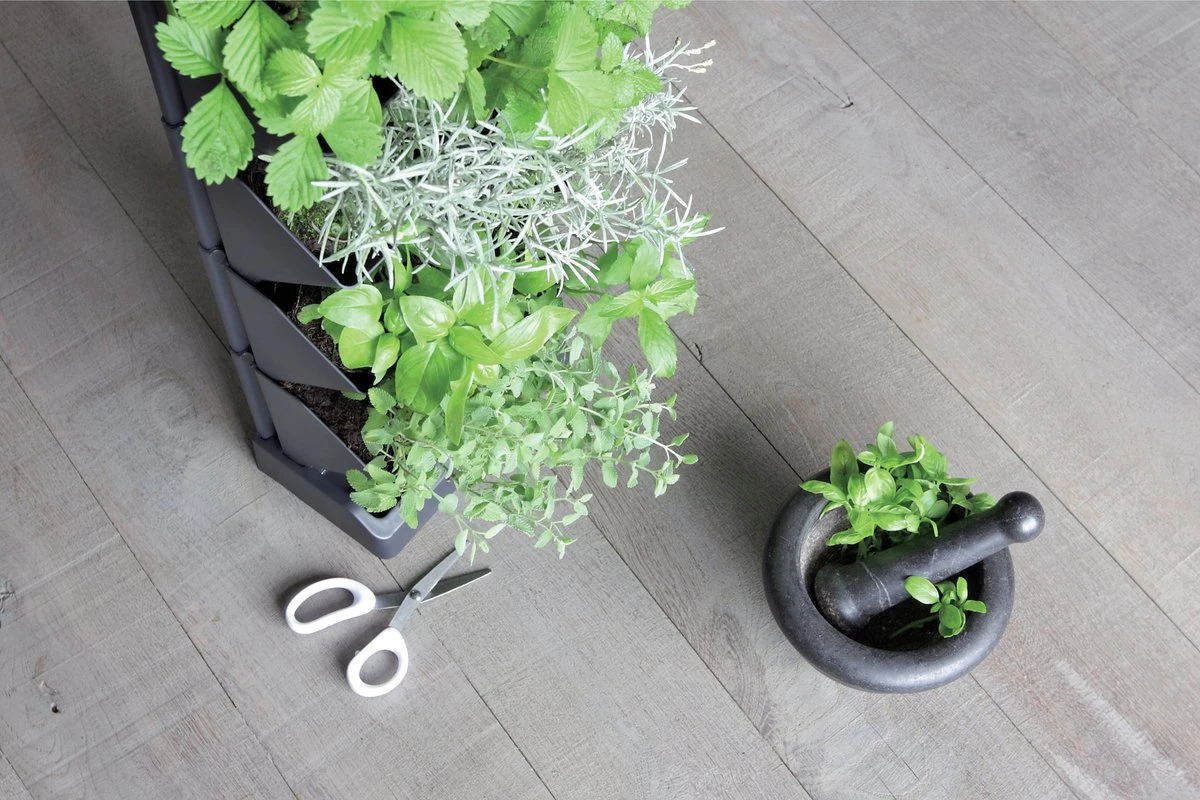 Prosperplast Verticale Kruidentuin Kunststof - Staand/hangend - Modulair - Antraciet Grijs - L 20 X B 11 X H 48 Cm - Incl. Kruidenschaar 8 Prosperplast Verticale Kruidentuin Kunststof - Staand/hangend - Modulair - Antraciet Grijs - L 20 X B 11 X H 48 Cm - Incl. Kruidenschaar - Afbeelding 8