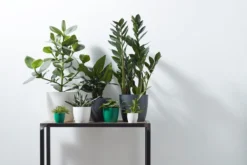 Elho B.for Soft Rond 30 - Bloempot Voor Binnen - Ø 29.5 X H 27.6 Cm - Antraciet 17 Elho B.for Soft Rond 30 - Bloempot Voor Binnen - Ø 29.5 X H 27.6 Cm - Antraciet -Tuinwereld Verkoop 1200x800 639