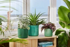 Elho The Ocean Collection Round 22cm - Bloempot Voor Binnen - 100% Gerecycled Materiaal - Gemaakt Met Zeeafval - Ø 22.3 X H 20.4 Cm - Pacifisch Groen -Tuinwereld Verkoop 1200x800 643