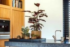 Capi Europe - Vaas Bol Groove XL - 39x33 - Goud - Bloempot Voor Binnen - Opening ⌀24 - GVGB270 8 Capi Europe - Vaas Bol Groove XL - 39x33 - Goud - Bloempot Voor Binnen - Opening ⌀24 - GVGB270 -Tuinwereld Verkoop 1200x800 646