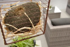 Garden Impressions Montana Loungeset - Organic Grey -Tuinwereld Verkoop 1200x801 2