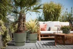 Elho Greenville Rond 30 - Grote Bloempot Voor Buiten - Gemaakt Van Gereycled Plastic - Ø 29.5 X H 27.8 Cm - Blad Groen -Tuinwereld Verkoop 1200x801 39