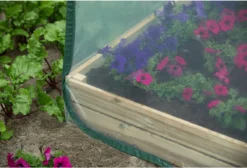 Nature - Tuinbroeikas Pop-up - 100 X 100 X 100cm - Vierkante Meter Tuin 16 Nature - Tuinbroeikas Pop-up - 100 X 100 X 100cm - Vierkante Meter Tuin -Tuinwereld Verkoop 1200x816 5