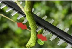 Bosch UniversalHedgePole 18 Heggenschaar Op Steel - Met 18 V Accu En Lader -Tuinwereld Verkoop 1200x823 5