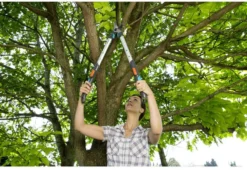 GARDENA - TeleCut Telescopische - Takkenschaar 520-670B - 42 Mm Verstelbare Lengte 15 GARDENA - TeleCut Telescopische - Takkenschaar 520-670B - 42 Mm Verstelbare Lengte -Tuinwereld Verkoop 1200x825 17