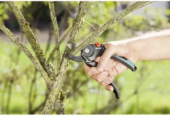 GARDENA - Comfort A/M Aambeeld - Snoeischaar - Ø 23mm 11 GARDENA - Comfort A/M Aambeeld - Snoeischaar - Ø 23mm -Tuinwereld Verkoop 1200x825 7