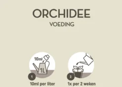 Pokon Orchidee Voeding - 250ml - Plantenvoeding - 10ml Per 1L Water 8 Pokon Orchidee Voeding - 250ml - Plantenvoeding - 10ml Per 1L Water -Tuinwereld Verkoop 1200x856 5