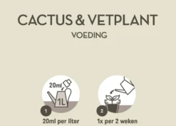 Pokon Cactus & Vetplant Voeding - 250ml - Plantenvoeding - 20ml Per 1L Water -Tuinwereld Verkoop 1200x858 7