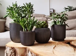 Capi Europe - Set Van 4 - Bloempot Binnen - Groove - Antraciet -Tuinwereld Verkoop 1200x881 4