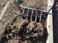 Ergo Woelvork 5 Tanden Depypere -Tuinwereld Verkoop 1200x901 15