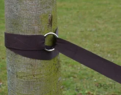 Ophangset Voor Hangmat - 2 Riemen 320x5cm - 250kg Bevestiging - Boom Ophanging Bruin -Tuinwereld Verkoop 1200x937 3