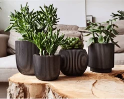 Capi Europe - Set Van 4 - Bloempot Binnen - Groove - Antraciet -Tuinwereld Verkoop 1200x953