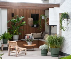 Elho Greenville Rond 30 - Grote Bloempot Voor Buiten - Gemaakt Van Gereycled Plastic - Ø 29.5 X H 27.8 Cm - Blad Groen -Tuinwereld Verkoop 1200x996 5