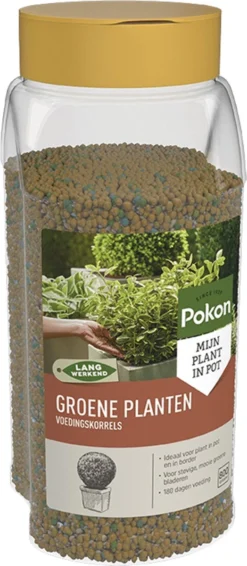 Pokon Voedingskorrels Voor Groene Planten - 800gr - 180 Dagen Voeding - Plantenvoeding 12 Pokon Voedingskorrels Voor Groene Planten - 800gr - 180 Dagen Voeding - Plantenvoeding -Tuinwereld Verkoop 524x1200 1
