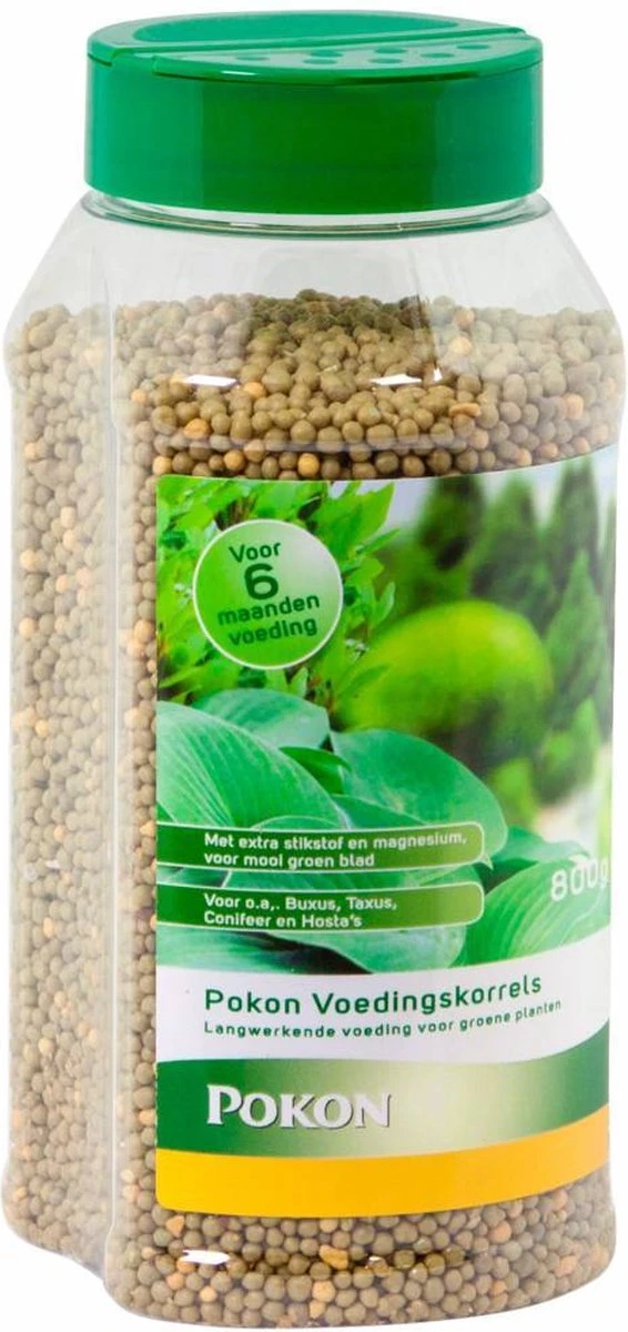 Pokon Voedingskorrels Voor Groene Planten - 800gr - 180 Dagen Voeding - Plantenvoeding 7 Pokon Voedingskorrels Voor Groene Planten - 800gr - 180 Dagen Voeding - Plantenvoeding - Afbeelding 7