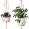 Plantenhanger - Plantenhanger Macrame - Set Van 2 - Wit - Knopen - Luxe Gevlochten Touw - Met Ophang Haken - Fienosa