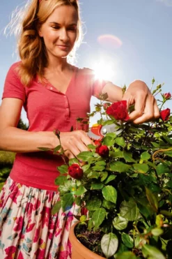 WOLF-Garten Snoeischaar "Premium Plus" RR 4000 - Max. Knipdiameter 22 Mm - Links- En Rechtshandige - Softinleg Handgreep - Snijhoek 30° - Voor Grote Handen - Vervangbare Messen 22 WOLF-Garten Snoeischaar "Premium Plus" RR 4000 - Max. Knipdiameter 22 Mm - Links- En Rechtshandige - Softinleg Handgreep - Snijhoek 30° - Voor Grote Handen - Vervangbare Messen -Tuinwereld Verkoop 799x1200 36