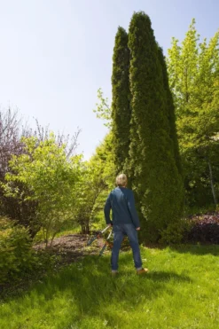 GARDENA TeleCut Heggenschaar - Telescopische Handgrepen Van 70-90 Cm -Tuinwereld Verkoop 799x1200 41